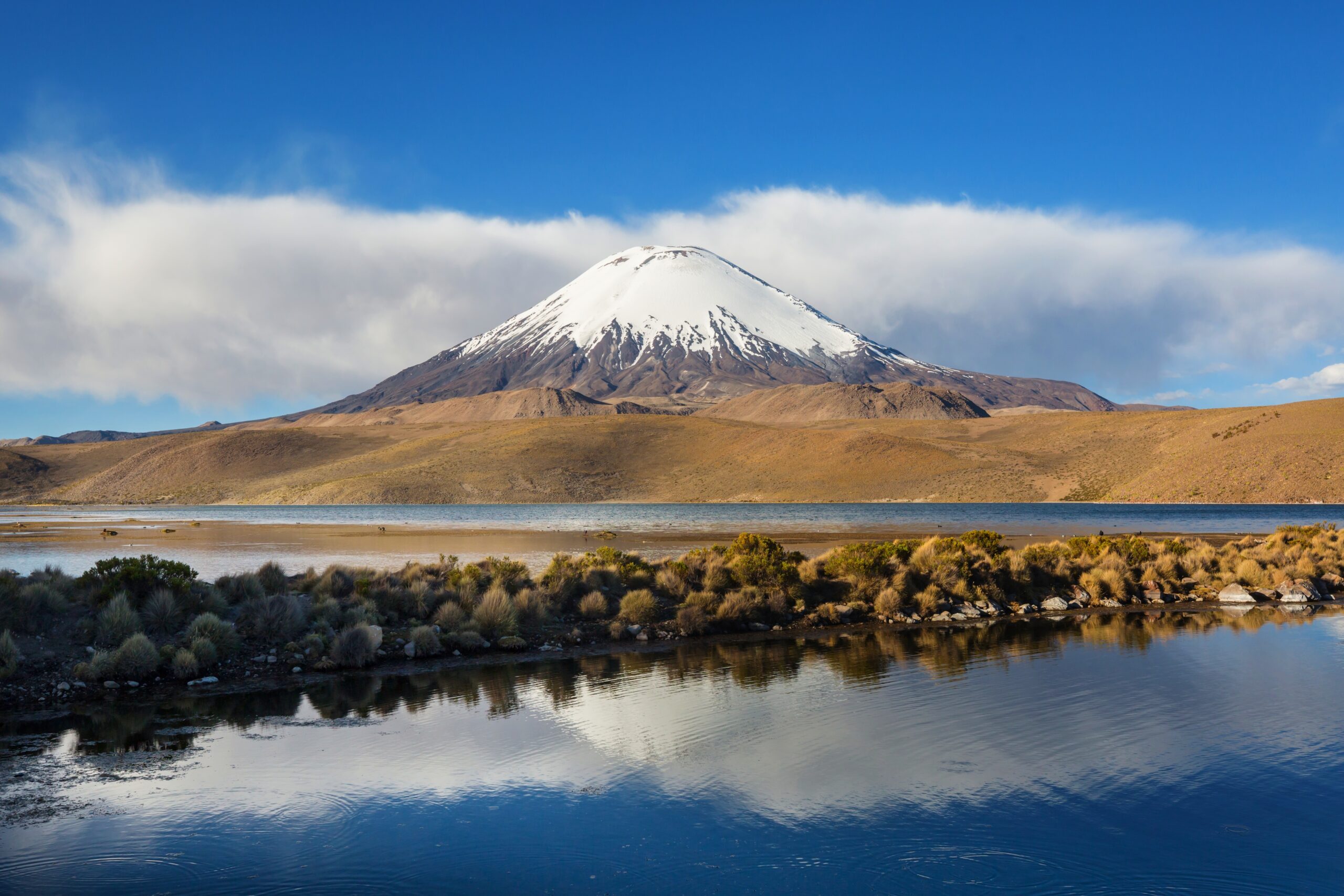  Fraud & Financial Crime Solicitors